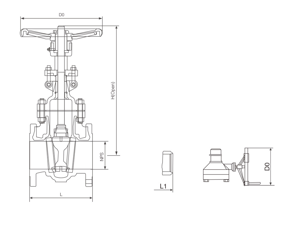 GATE VALVES