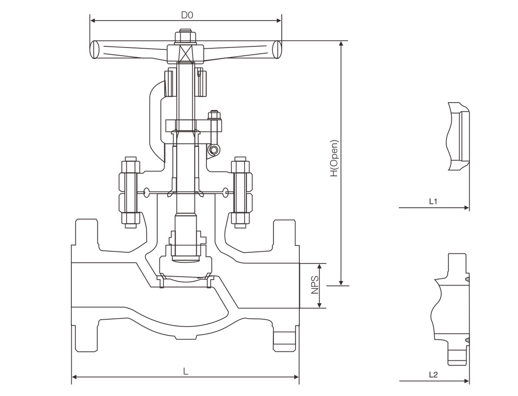 GLOBE VALVES