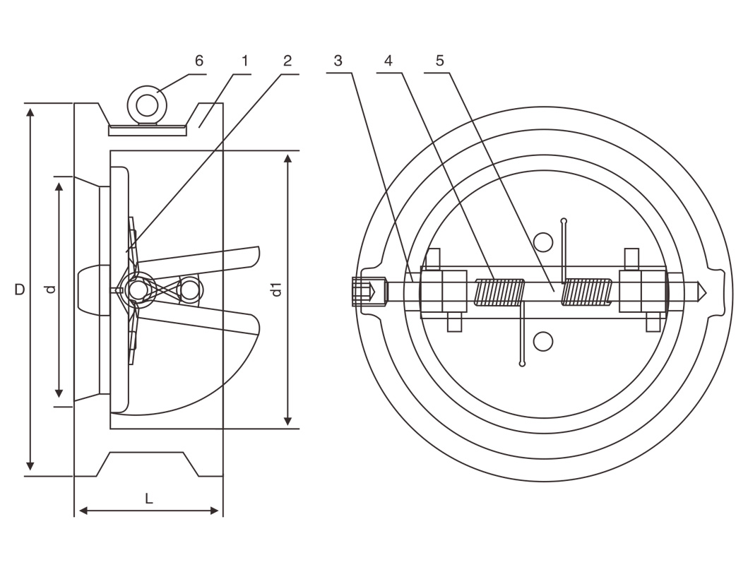 CHECK VALVES